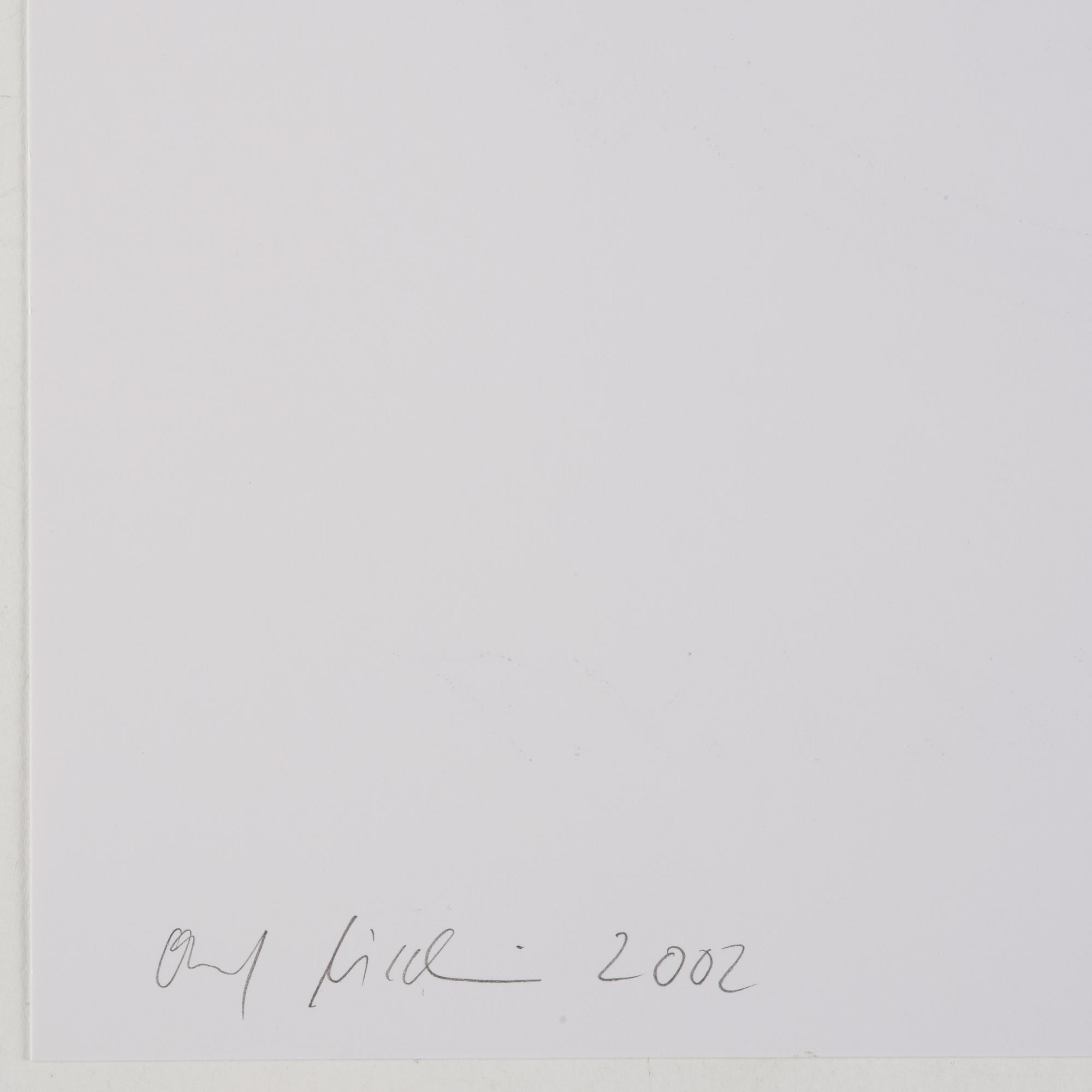Olaf Nicolai, "The Favourite Shoes of Texte zur Kunst".