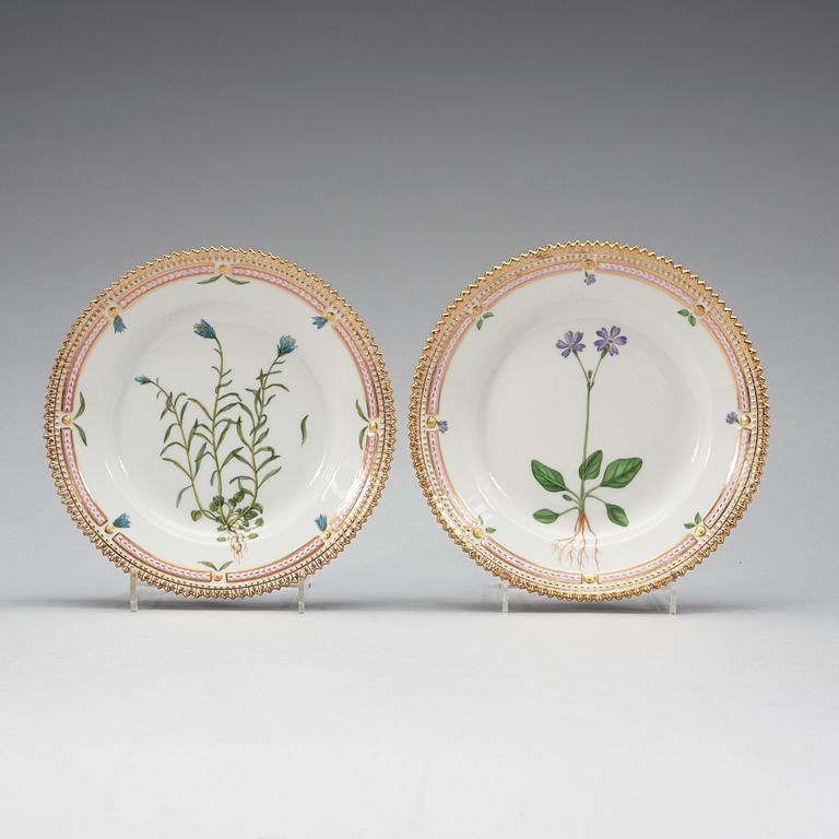 ASSIETTER, 13 stycken, porslin. "Flora Danica", Kunglig Dansk, Danmark, 1900-tal.