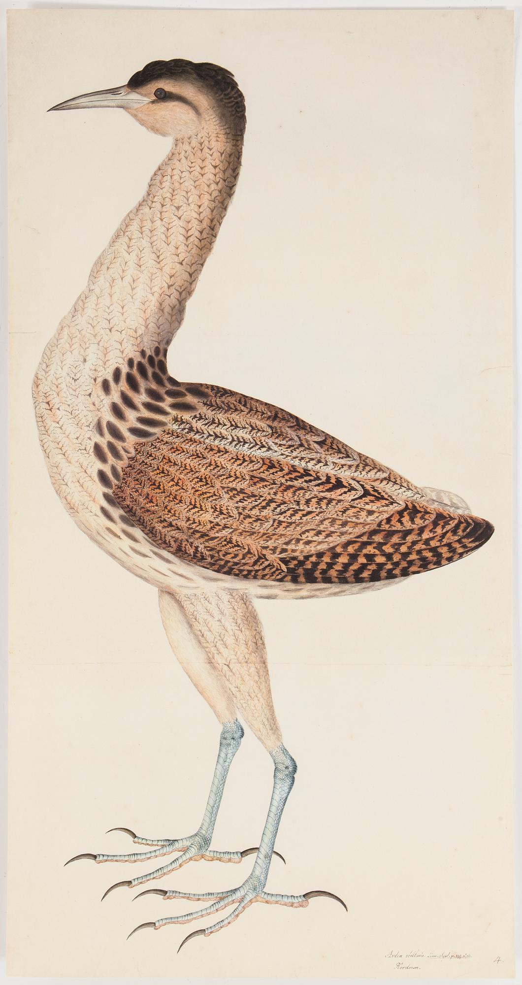 OLOF RUDBECK d.y., "Portföljen", numrerad 1244/1499,  René Coeckelberghs Editioner, 1986.