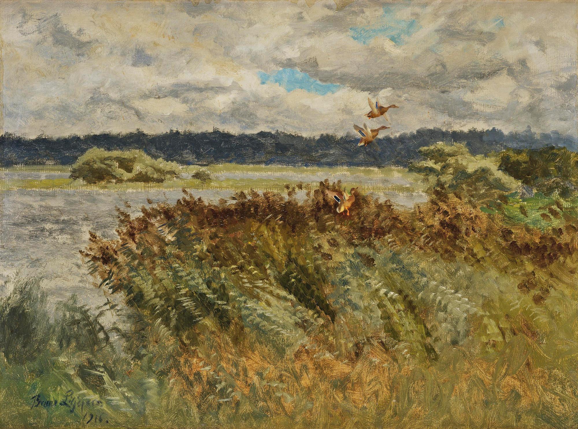 Bruno Liljefors, Flygande änder.