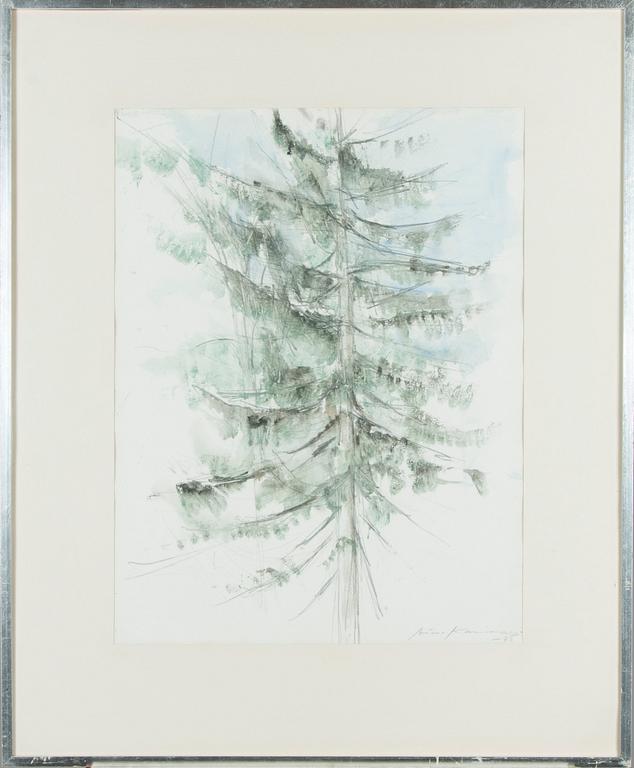 Aimo Kanerva, Kuusi.