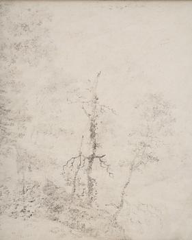 Jan Wils, Landscape with forest.