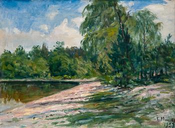 512. Elias Muukka, VIEW FROM THE SHORE.