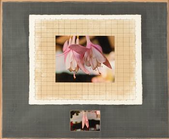 Michelle Stuart,"Correspondences: Time, Connecticut Fuchsia".