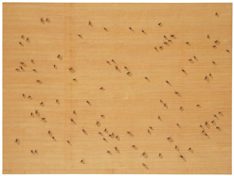 Ed Ruscha, "Flies" ur "Insects".