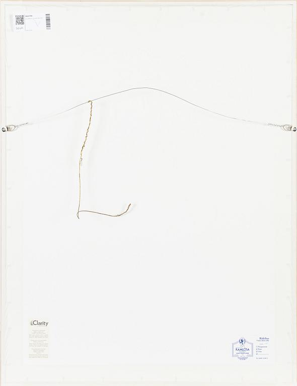 Karl Mårtens, Untitled.