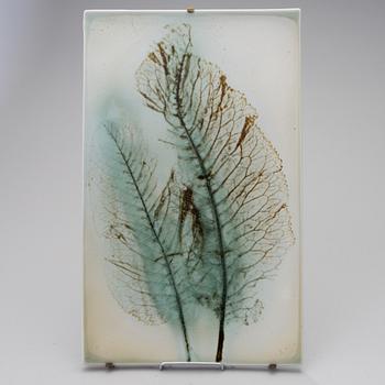 A ceramic art plate with leaf motif signed TM Arabia.