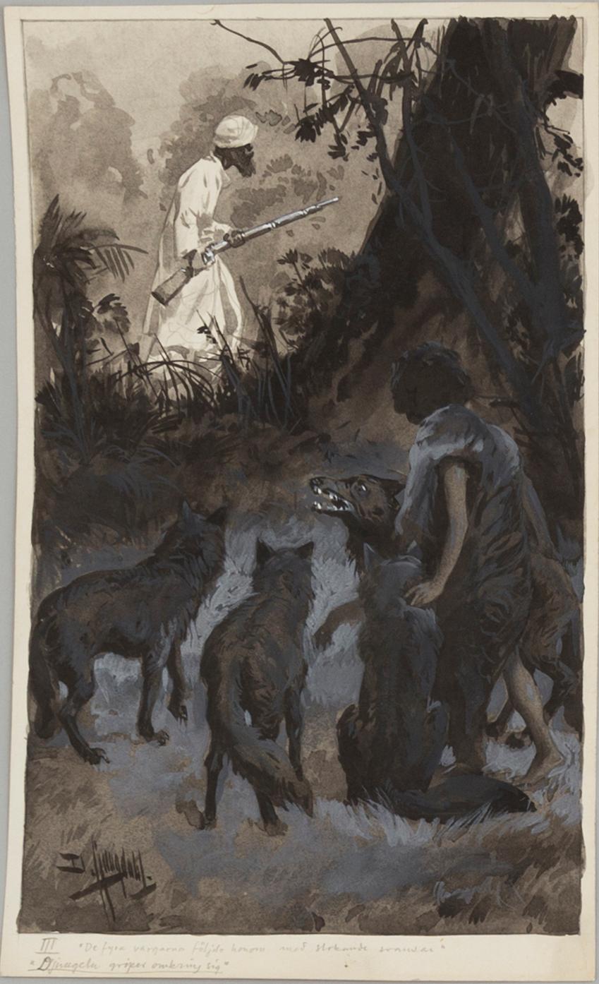 DAVID LJUNGDAHL, illustrationer, 8 st, tusch och täckvitt, signerade D. Ljungdahl. "Den andra djungelboken".