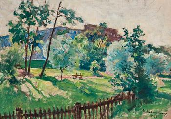 Hugo Backmansson, VIEW OVER THE PARK.