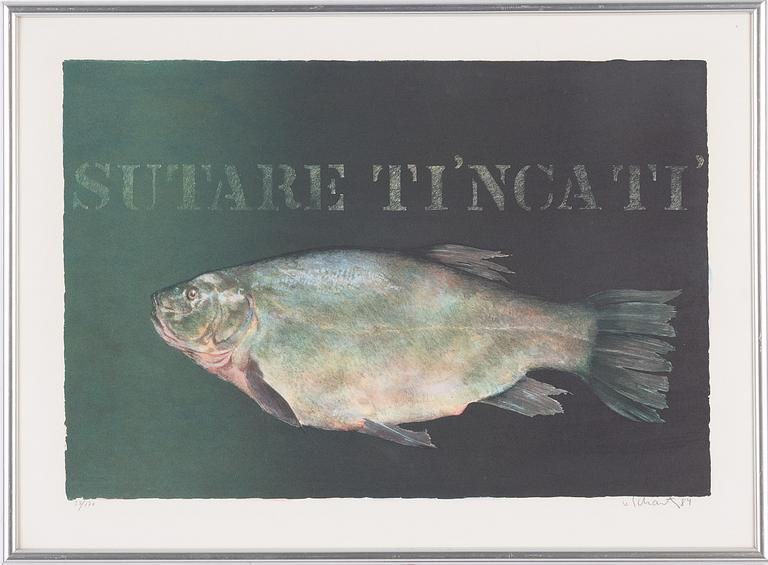 Philip von Schantz, "Sutare Ti'ncati".