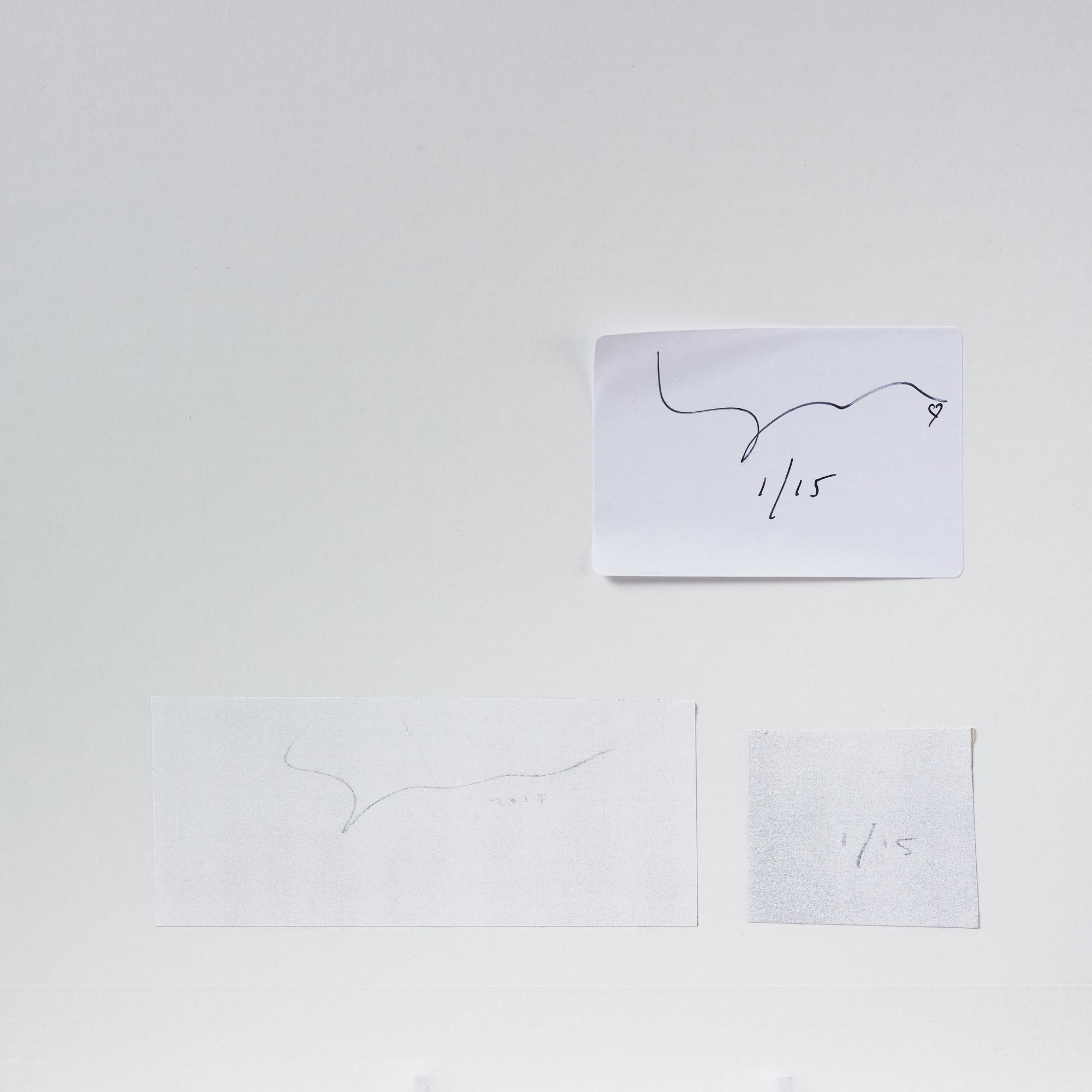 Johan Strindberg, "The Lost Secret of Theodore", 2015.