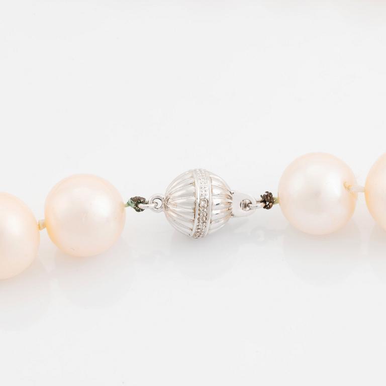 A cultured fresh water pearl necklace.