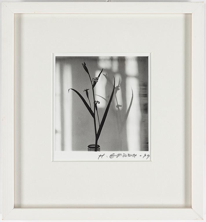 HANS GEDDA, gelatin silver print, vintage, signed and dated -99.