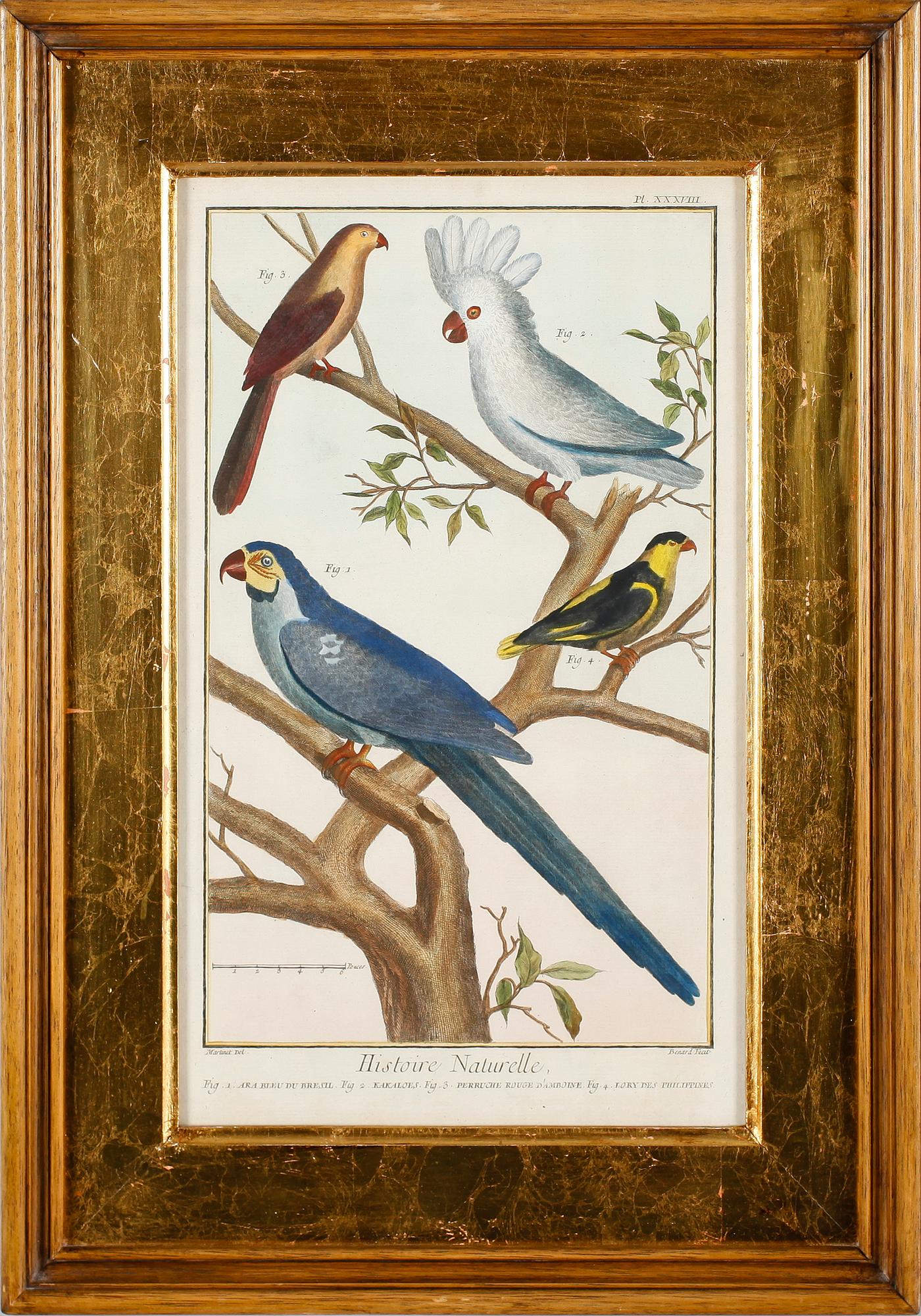 GRAVYRER, 2 st, efter Martinet, kolorerade, 1800-tal.