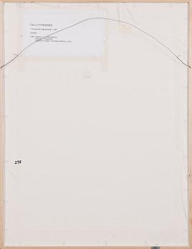 OLLI LYYTIKÄINEN, "KAKSI SIVELLINTÄ - OMAKUVA".