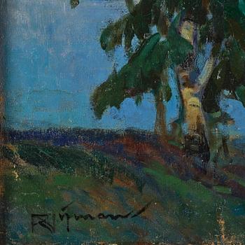 Roman Nyman, By the lake.