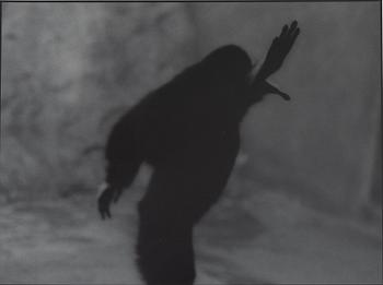 Kenneth Gustavsson, "Untitled (Apan)", 1982.