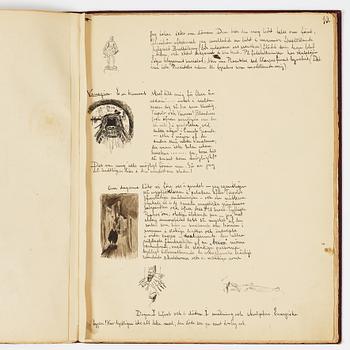 Carl Larsson, CARL LARSSON, illustrated travel story, "Från Stockholm till Messina" (From Stockholm to Messina), 1886.