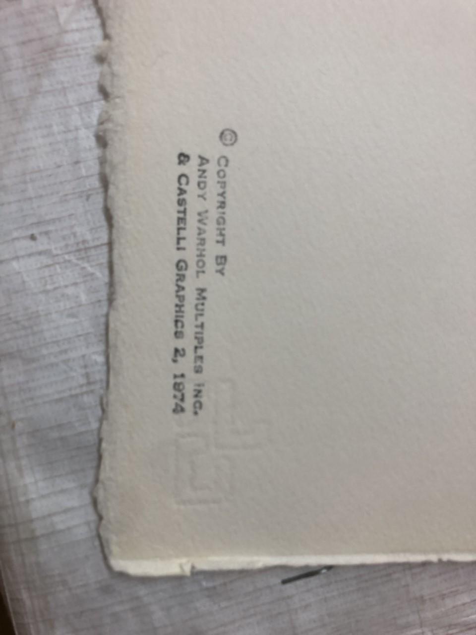 ANDY WARHOL, Silkscreen 1974, on Arches paper, signed with initials in pencil, and also signed and numbered 99/250 verso.