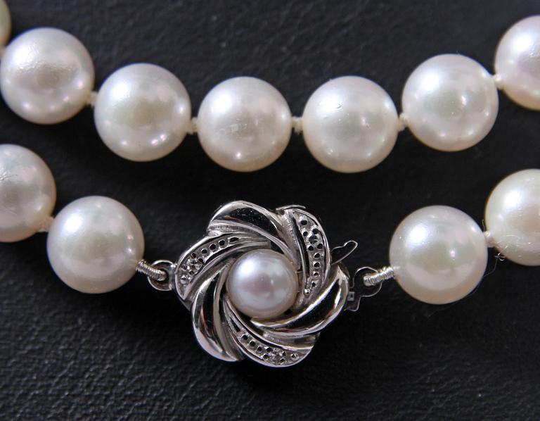 COLLIER, odlade pärlor.