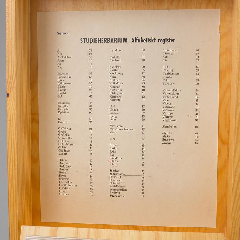 A Herbarium from Norstedts, second half of the 20th Century.