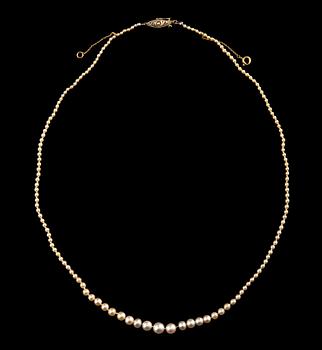 367. COLLIER, orientpärlor, 5,7-1,6 mm. Lås i 18K guld. 1910/20 t. Längd 45 cm.