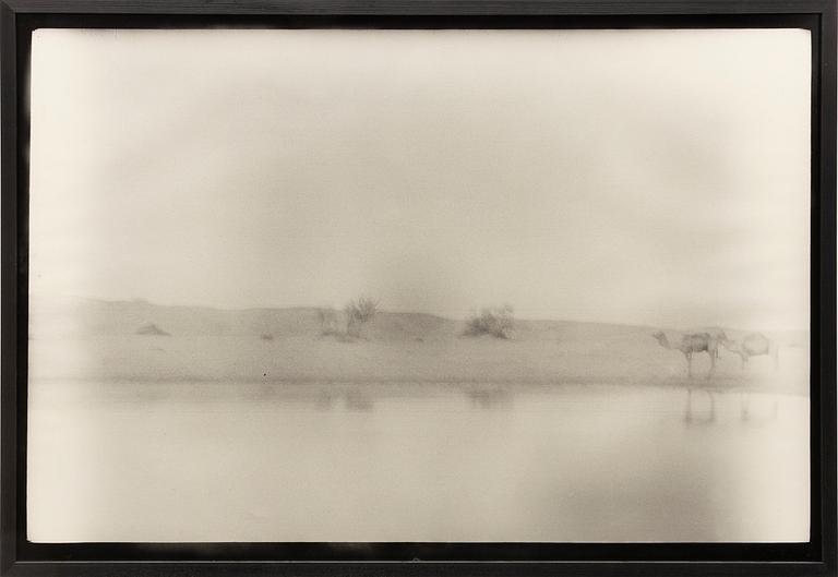 Denise Grünstein, "Blyertskameler", 1999.