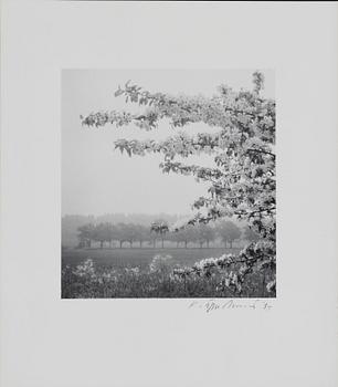 Kristoffer Albrecht, Untitled, 1989.