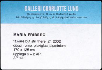 Maria Friberg, "Aware but still there 2", 2002.