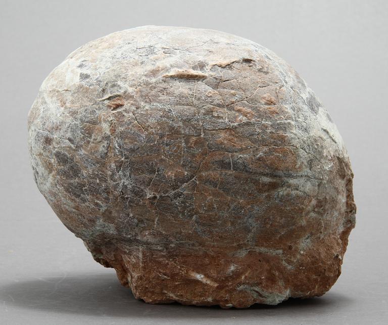 DINOSAURIEÄGG, fossil.