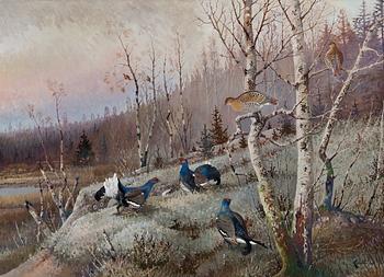 337. Ejnar Kohlmann, WOOD GROUSE COURTING.