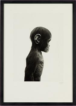 Ulf Rollof, pigment print, signerad och daterad 2013. Ed 003/100.