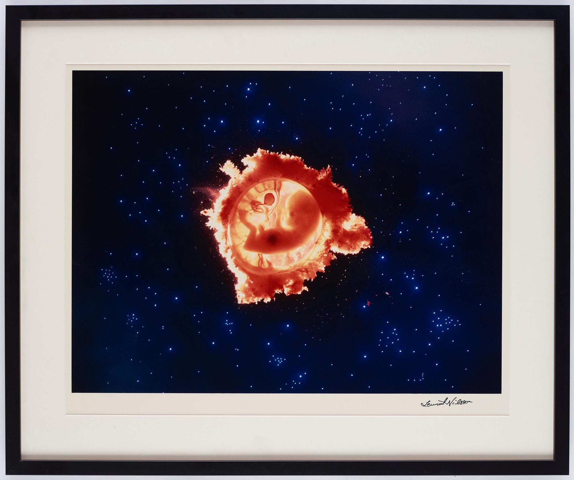 Lennart Nilsson, "Rymdfararen" , 1965.