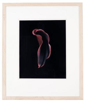 Dawid (Björn Dawidsson), "Martell", 1998.