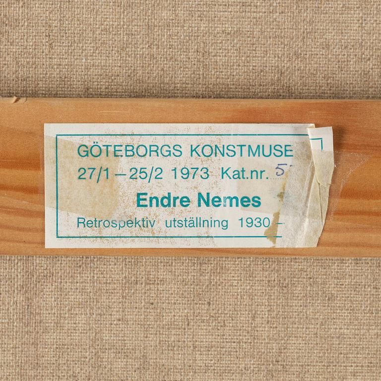 Endre Nemes, "Homo volans".