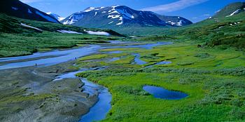 12. FOTOGRAFI, "Övre Rapadalen i Sarek, Augusti". Ur serien Lapplands fjällvärld av Claes Grundsten. Skänkt av konstnären.