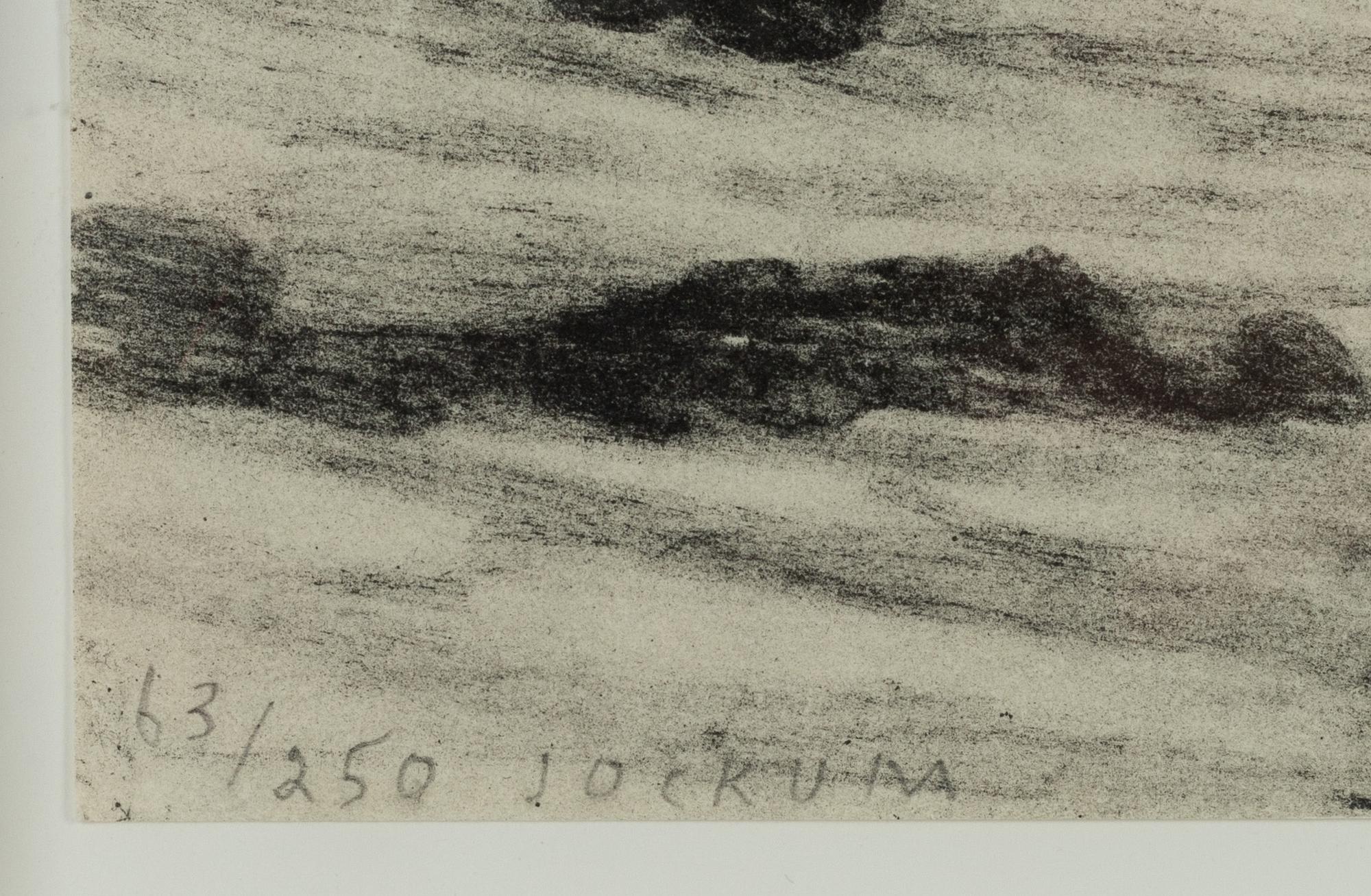 Jockum Nordström, litografi, signerad 63/250.