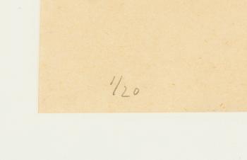 Lars Lerin, Björkar.