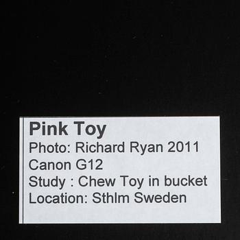 RICHARD RYAN, "Pink toy", signerat fotografi, Notes nr 0082, ur serien "Notes by Ryan". 2011.