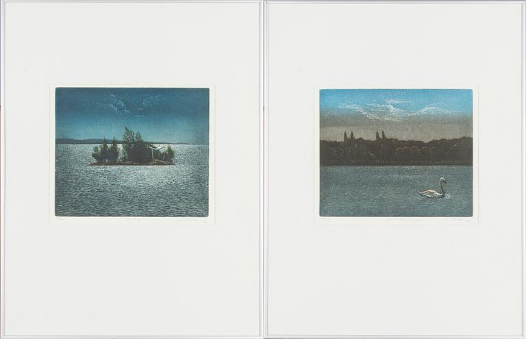 Tuula Lehtinen, 'Saari' (Island) and "Joutsenlampi" (Swan Pond).