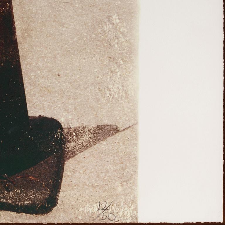 Robert Rauschenberg, "Lotus Bed I" ur "The Lotus Series".