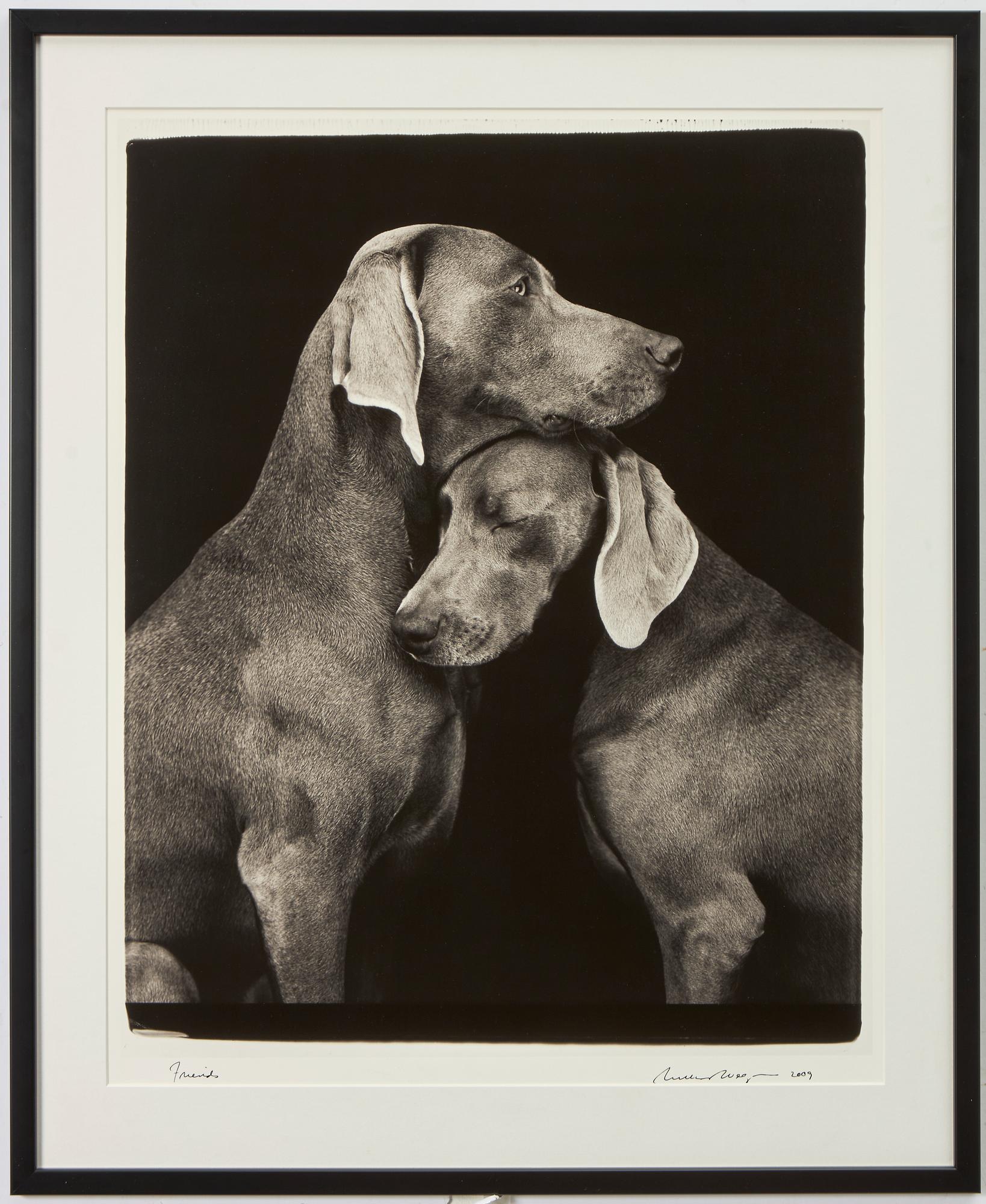 William Wegman, 'Friends'.