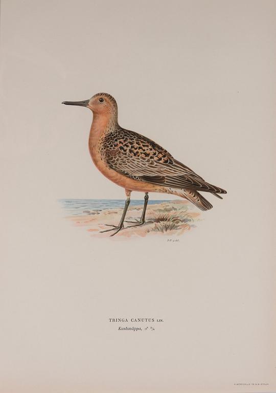 LITOGRAFIER, 6 st, efter von Wright, A. Börtzell, Stockholm.