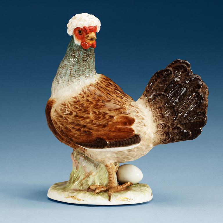 A Meissen figure of a hen with an egg, 19th Century.