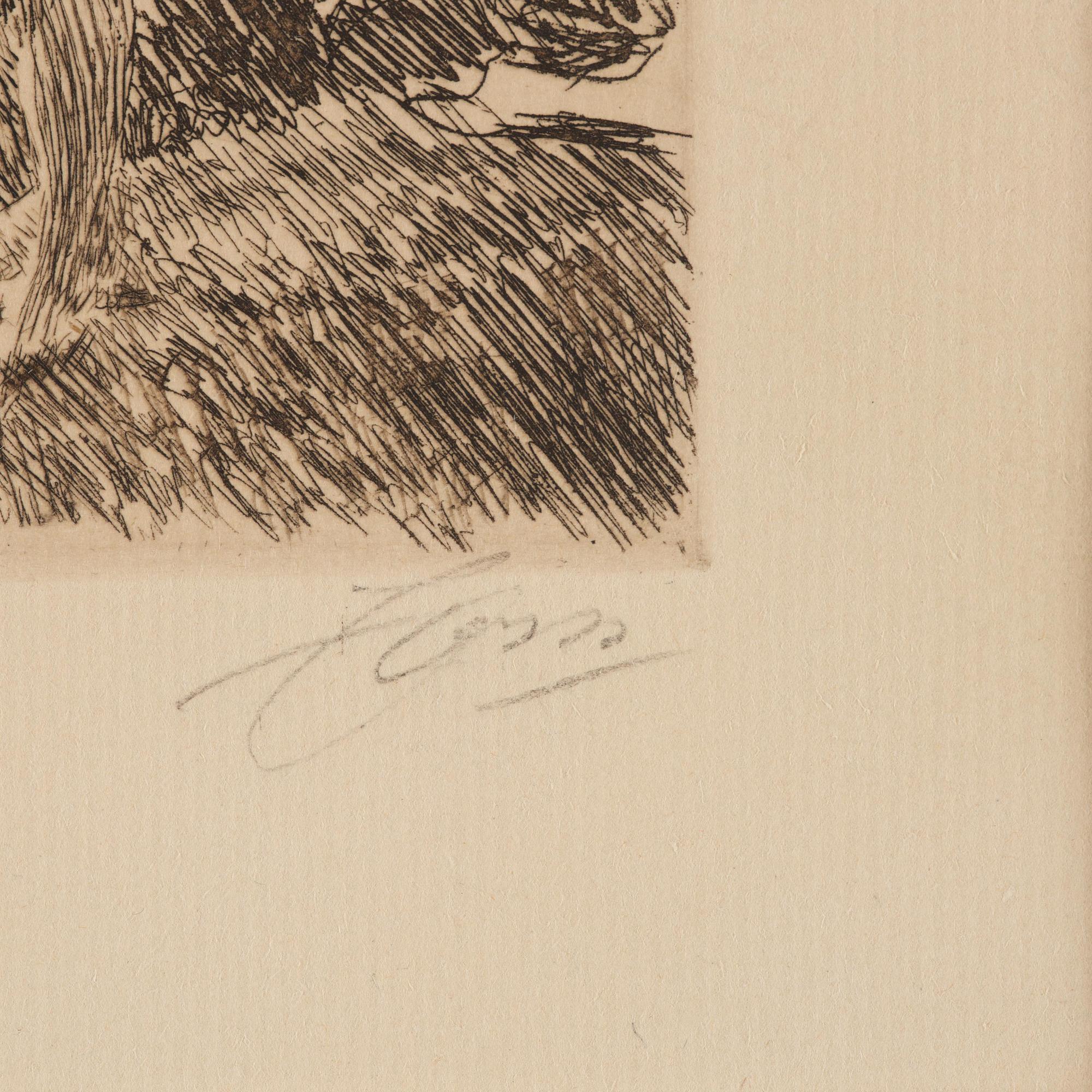 Anders Zorn, "Hårtång".