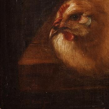 Spanish school, 17/18th Century, Still life with birds in nest / dead birds.