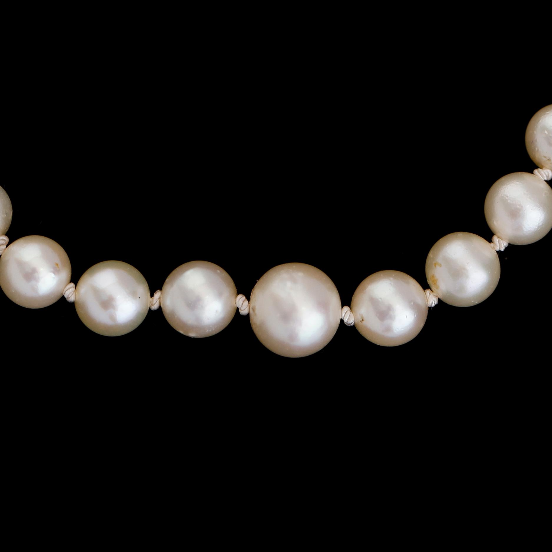 PÄRLCOLLIER, odlade doserade pärlor, silverlås.