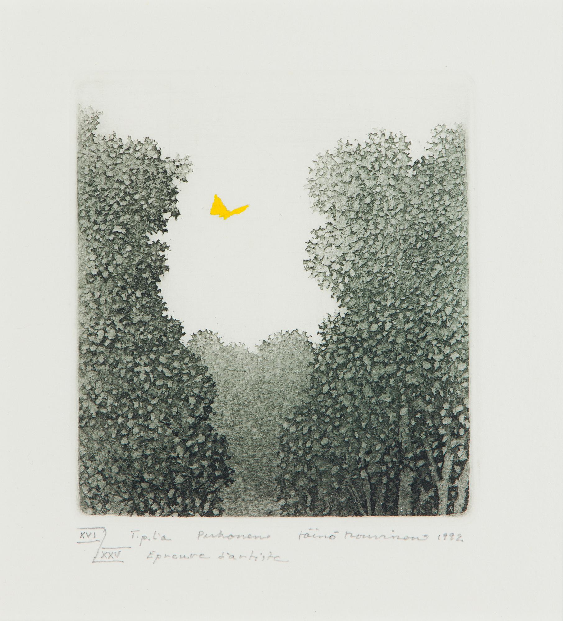 Väinö Rouvinen, ‘Butterfly’.