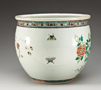 A large famille rose fish basin, late Qing dynasty.