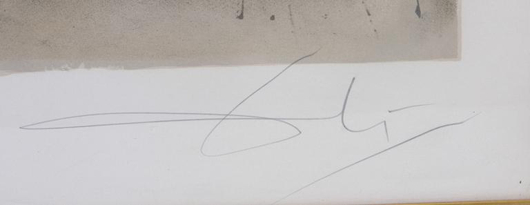 SALVADOR DALI , färglitografi, sign o numr XCIV/CXXV.